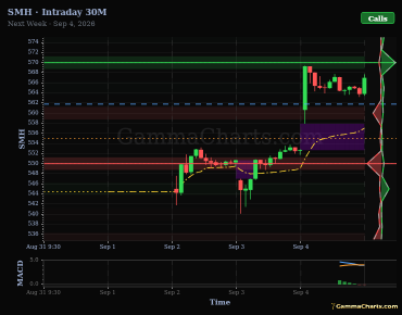 Intraday 30M
